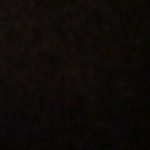 Meet your Posher, Gina